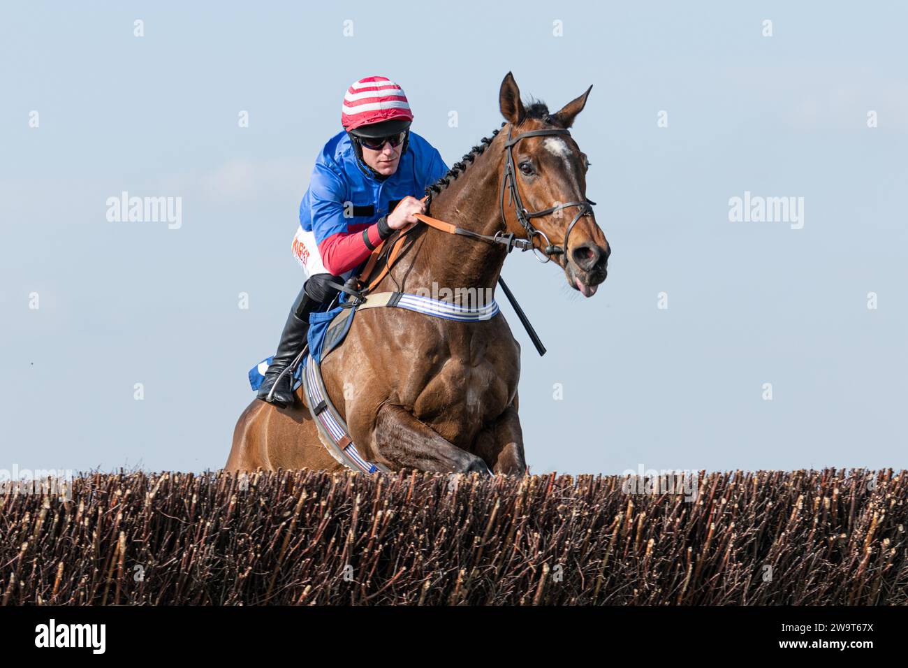 Il Doyen russo, guidato da Nick Scholfield e allenato da Jeremy Scott, è secondo nella categoria 3 handicap Steeple Chase a Wincanton, il 21 marzo Foto Stock