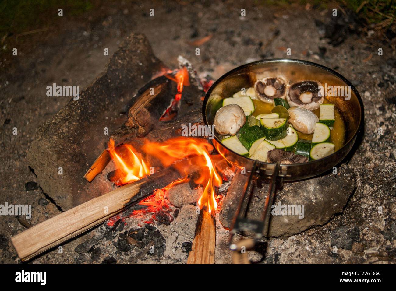 Cucina vegetariana con funghi e zucchine e fuoco da campeggio. Foto Stock