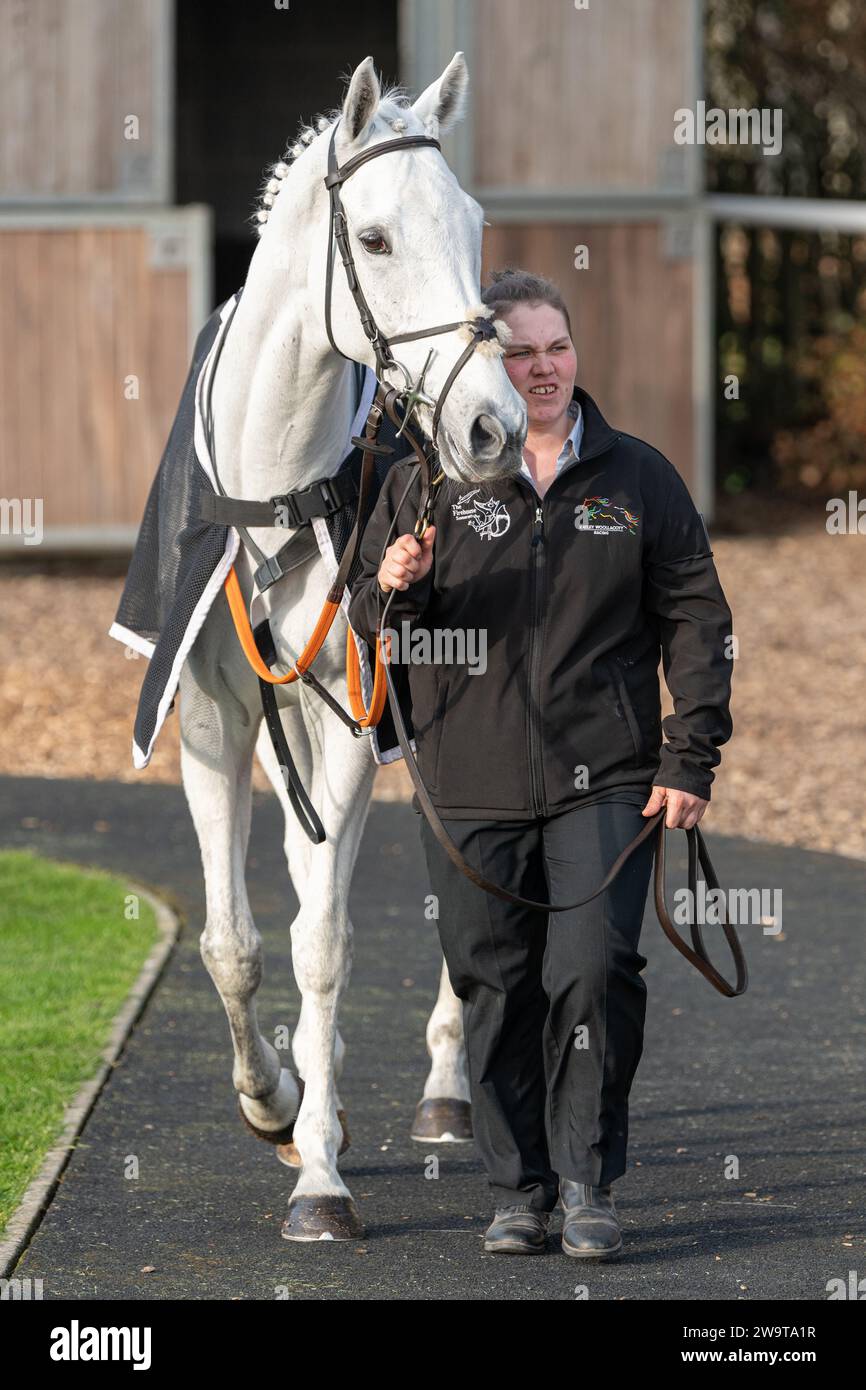 Caspers Court, pilotato da Ben Godfrey e allenato da Kayley Woollacott, corre nell'ostacolo handicap a Wincanton il 21 marzo 2022 Foto Stock