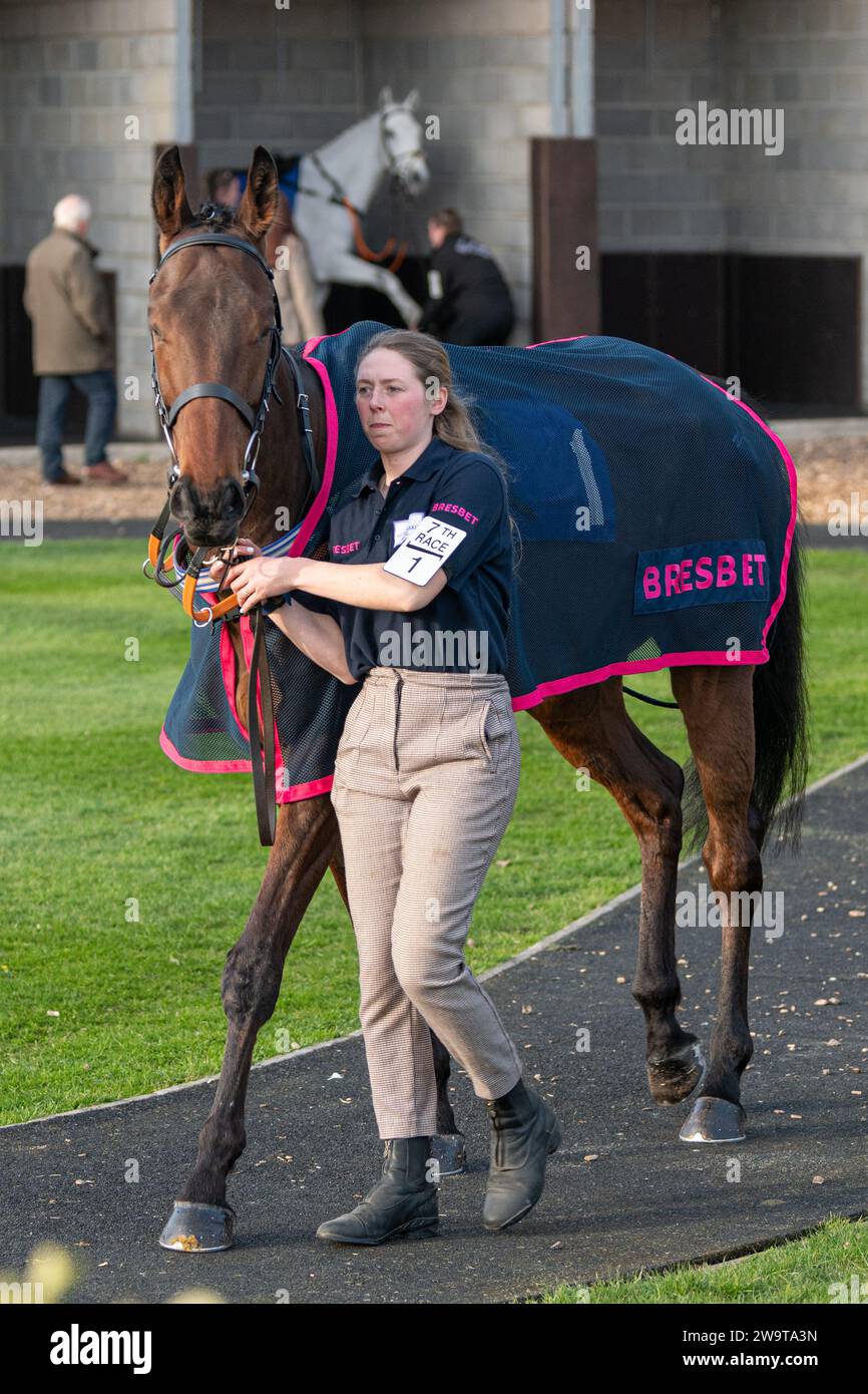 Wetanwindy, guidato da Mitchell Bastyan e allenato da Milton Harris, nel campo di parata a Wincanton Foto Stock