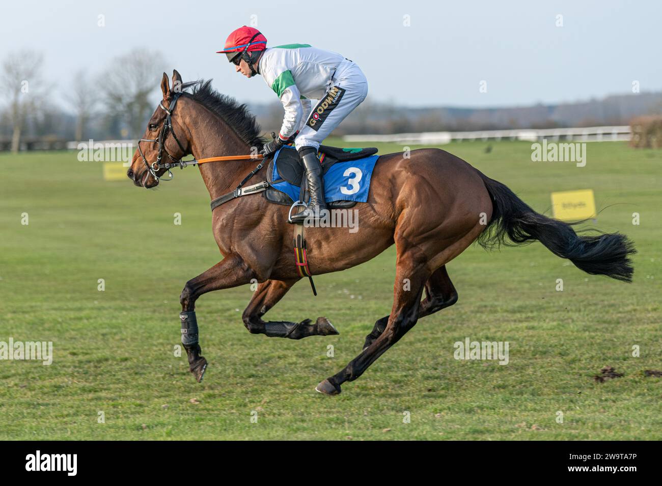 Megaudais Speed vince a Wincanton, guidata da Gavin Sheehan e allenata da Laura Young, il 21 marzo 2022 Foto Stock