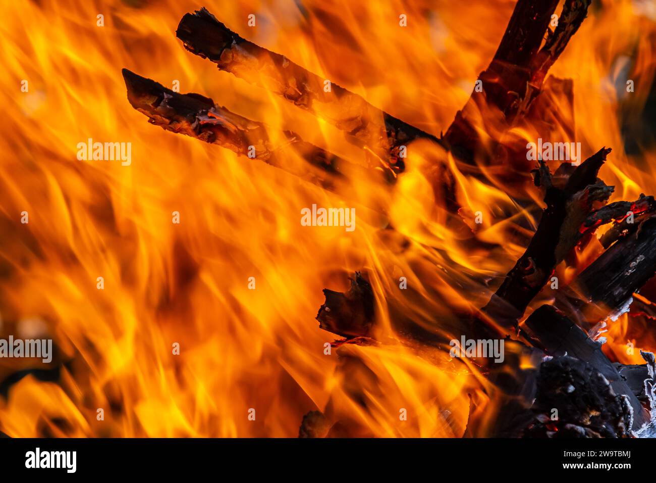Fiamma del fuoco a carbone. Focolare per cucinare e riscaldare. Pericolo nella foresta. Foto Stock