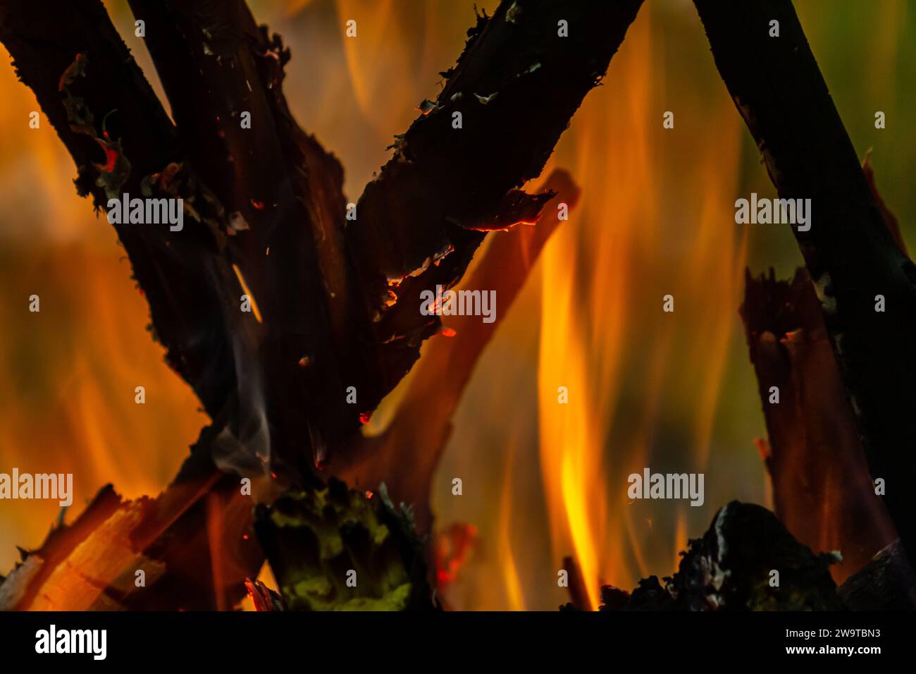 Fiamma del fuoco a carbone. Focolare per cucinare e riscaldare. Pericolo nella foresta. Foto Stock