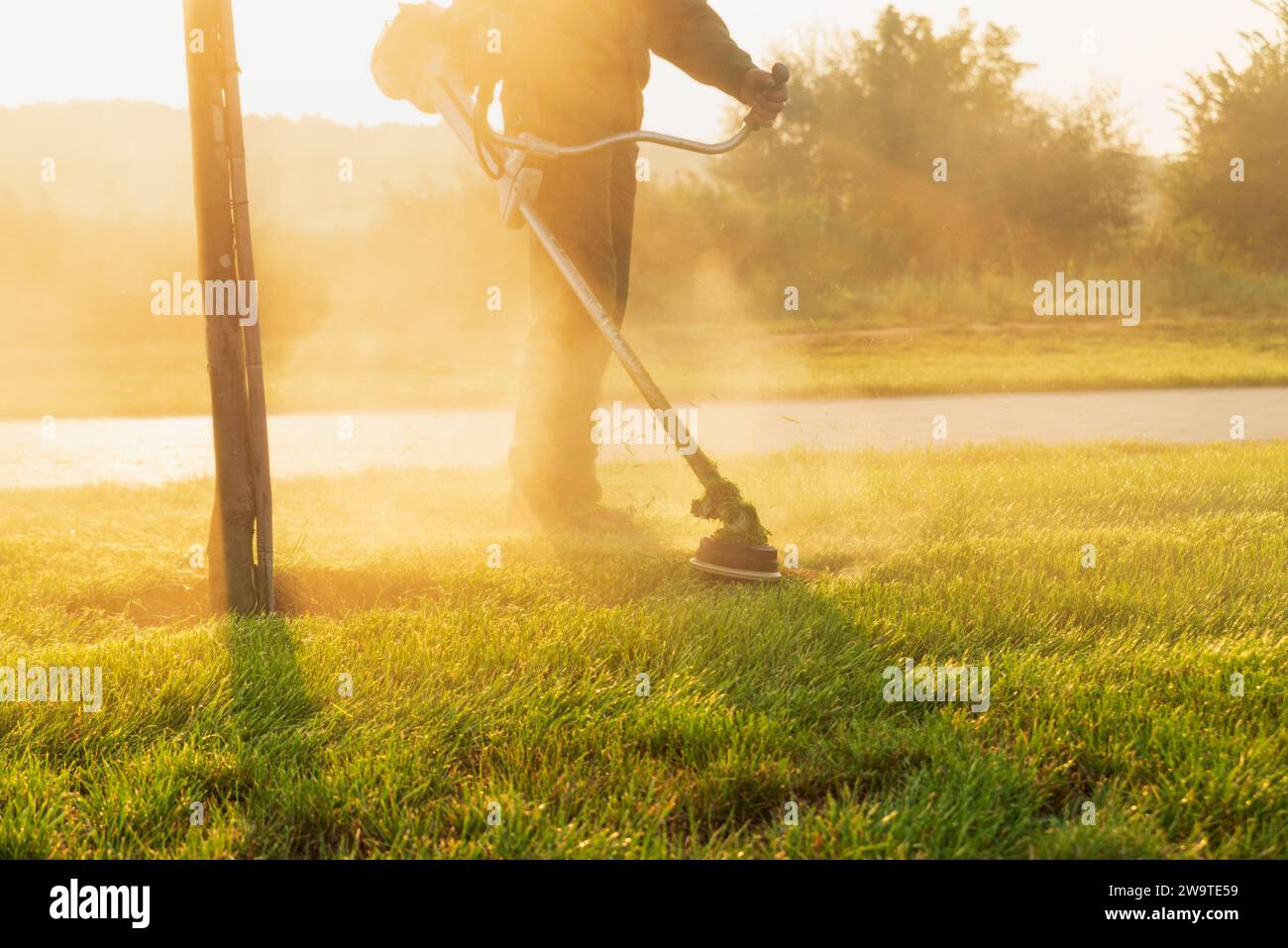 Un giardiniere con un rasaerba in mano taglia il prato all'alba. Foto Stock