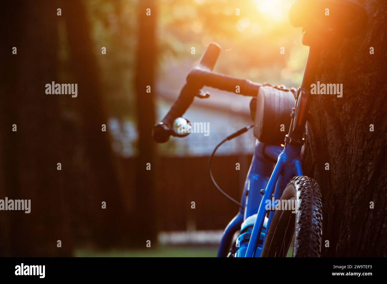 La bici da strada si trova vicino a un albero in un parco al tramonto. Concetto di stile di vita attivo e sano. Vista posteriore. Primo piano. Foto Stock