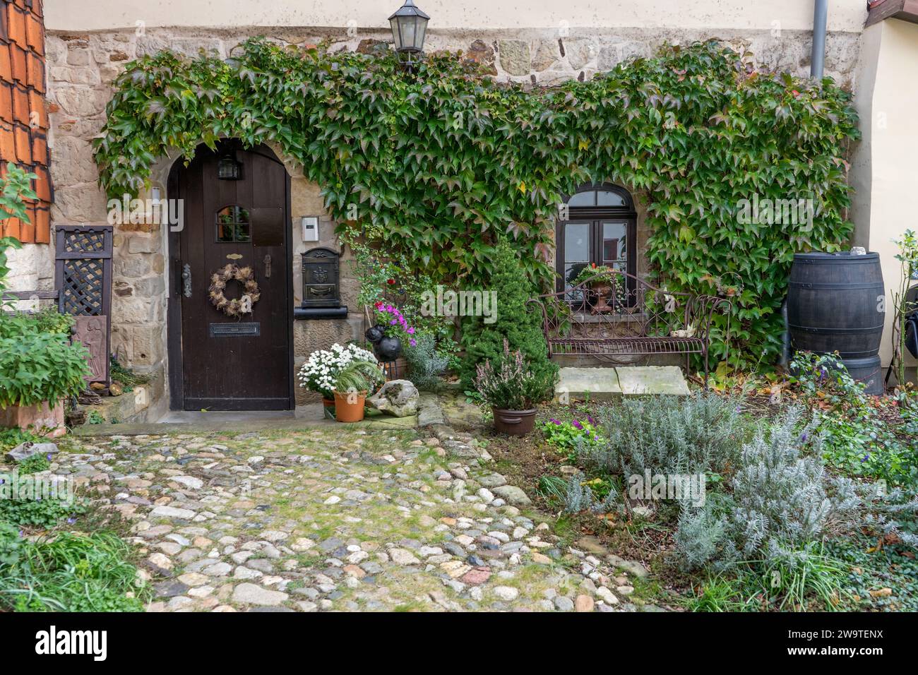 Ingresso casa con giardino frontale a Quedlinburg, Münzenberg con erbe aromatiche e piante rampicanti Foto Stock