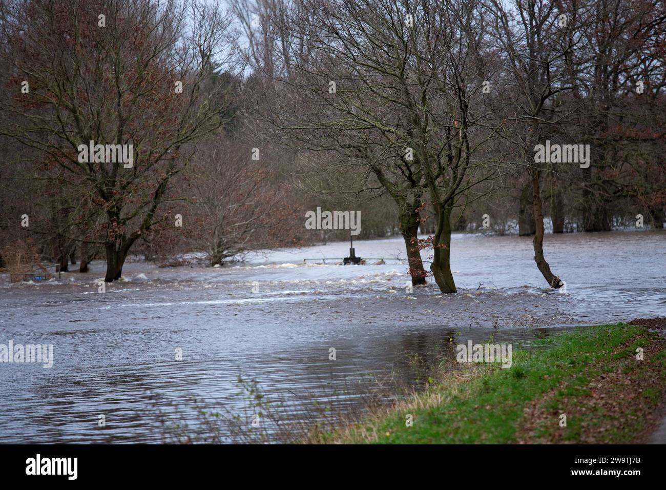 Terra sott'acqua nella campagna di Niederlangen, distretto di emsland, bassa sassonia, a nord-ovest della germania Foto Stock
