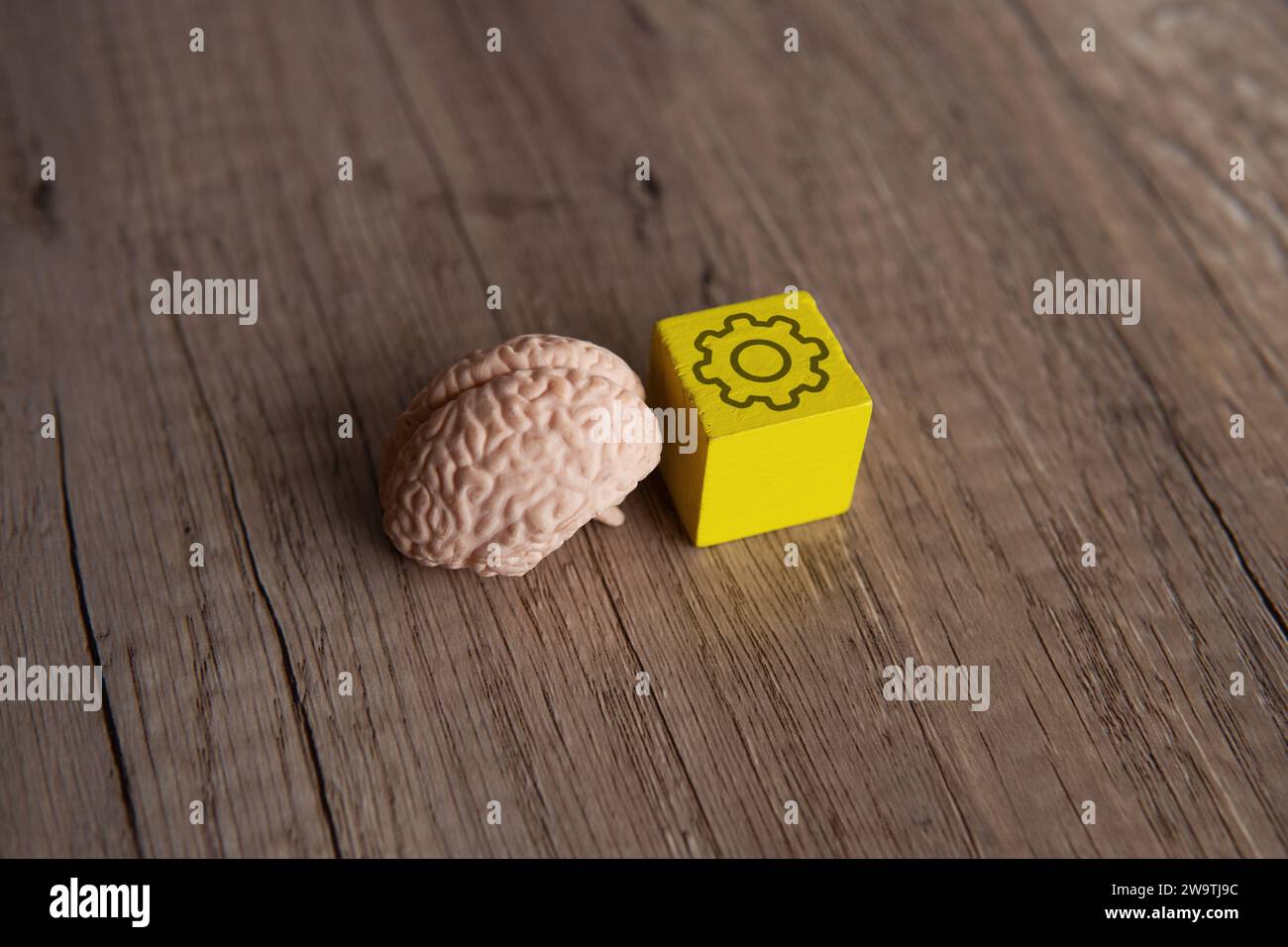 Cervello umano e blocco di legno con icona a ruota dentata. Pensiero cognitivo, brainstorming concettuale. Foto Stock