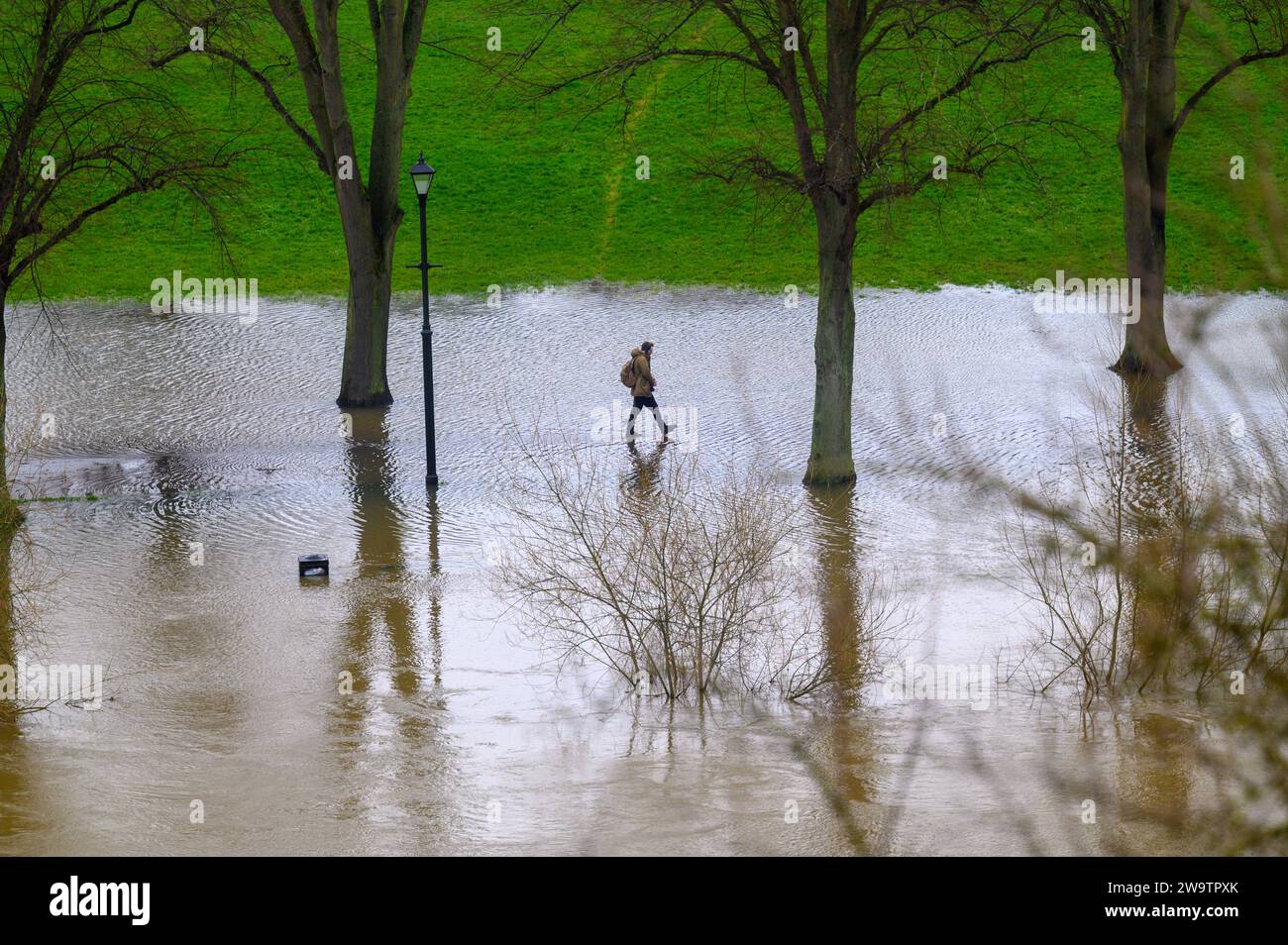 Camminando lungo il fiume Severn, che ha fatto irruzione le sue rive e ha allagato parte del Quarry Park a Shrewsbury, nello Shropshire. Foto Stock