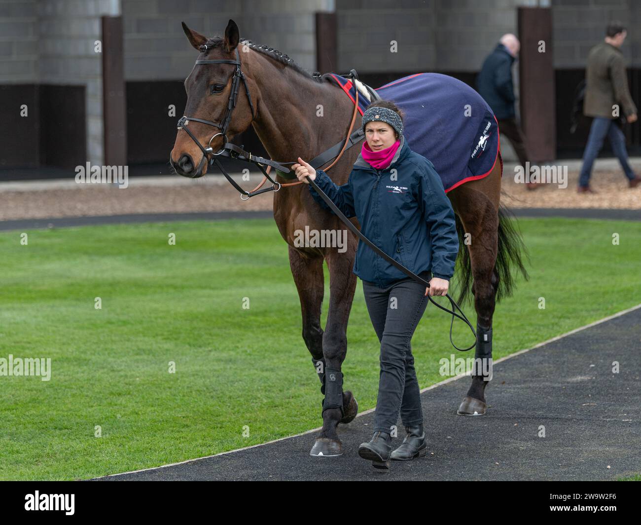 Truckin Away, guidato da Micheal Nolan e allenato da Philip Hobbs, corre terzo a Wincanton sopra le recinzioni, giovedì 10 marzo 2022 Foto Stock