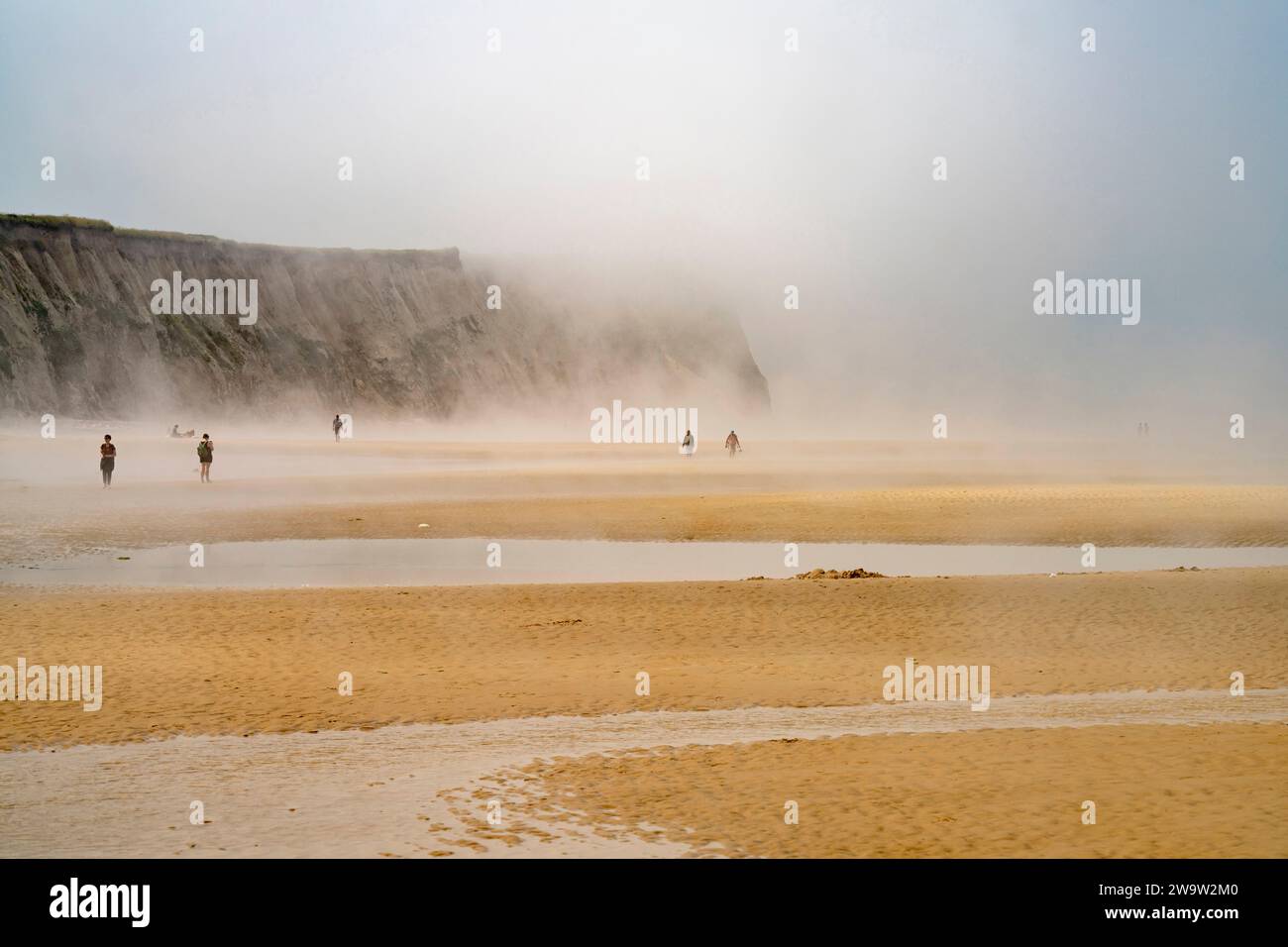 Nebel am Strand Cran d'Escalles an der Côte d'Opale oder Opalküste a Escalles, Frankreich | nebbia sulla spiaggia di Cran d'Escalles sulla Costa d'Opale Côte d'Op Foto Stock