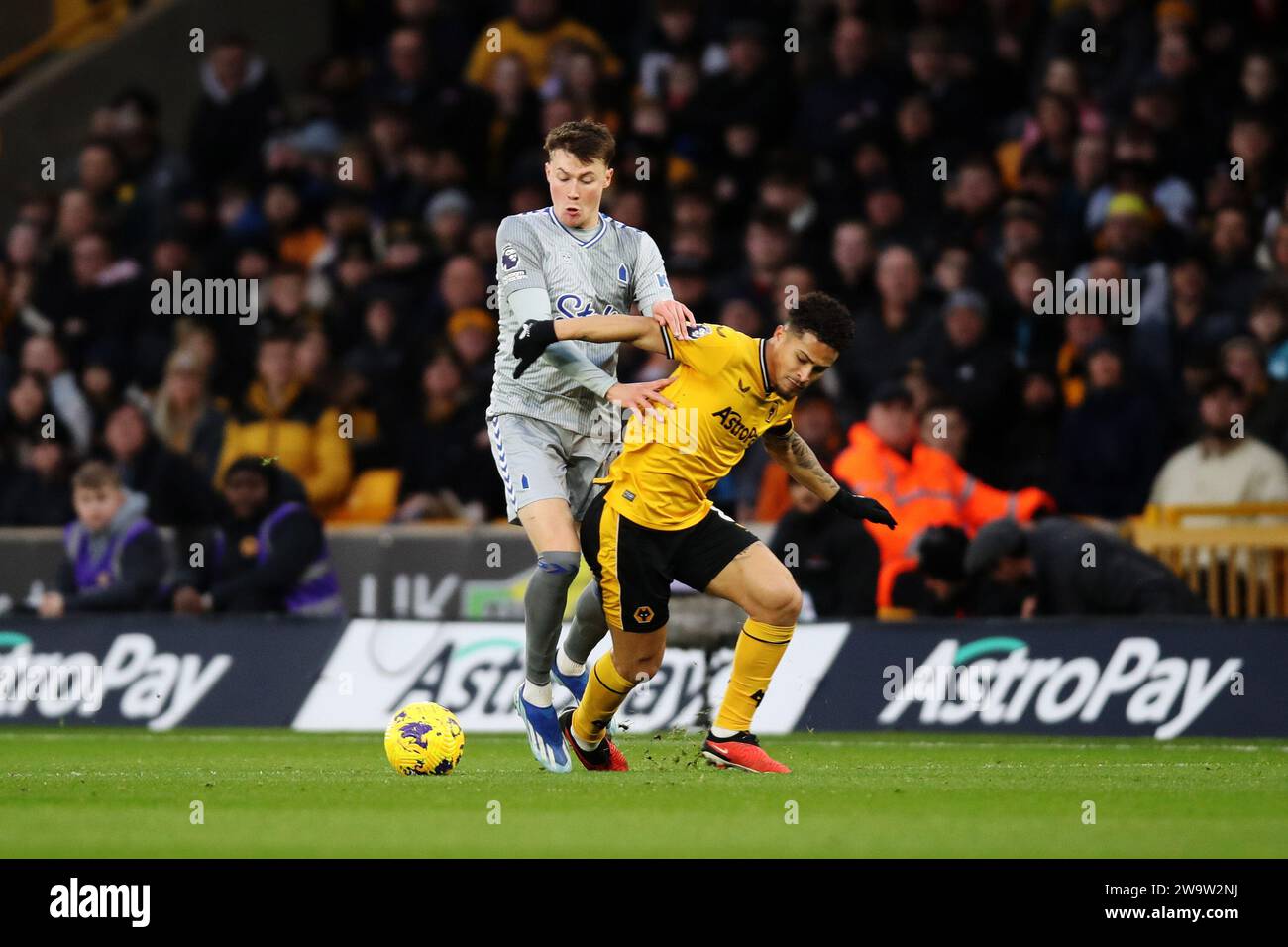 Wolverhampton, Regno Unito. 30 dicembre 2023. Joao Gomes of viene sfidato da Nathan Patterson dell'Everton durante la partita di Premier League a Molineux, Wolverhampton. Foto di credito dovrebbe leggere: Jessica Hornby/Sportimage credito: Sportimage Ltd/Alamy Live News Foto Stock