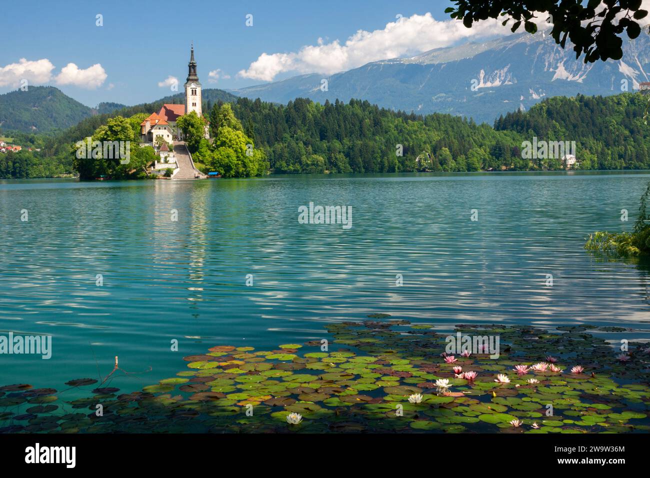 Pellegrinaggio Chiesa dell'assunzione di Maria e isola sul lago di Bled a Bled in Slovenia nell'Europa orientale Foto Stock