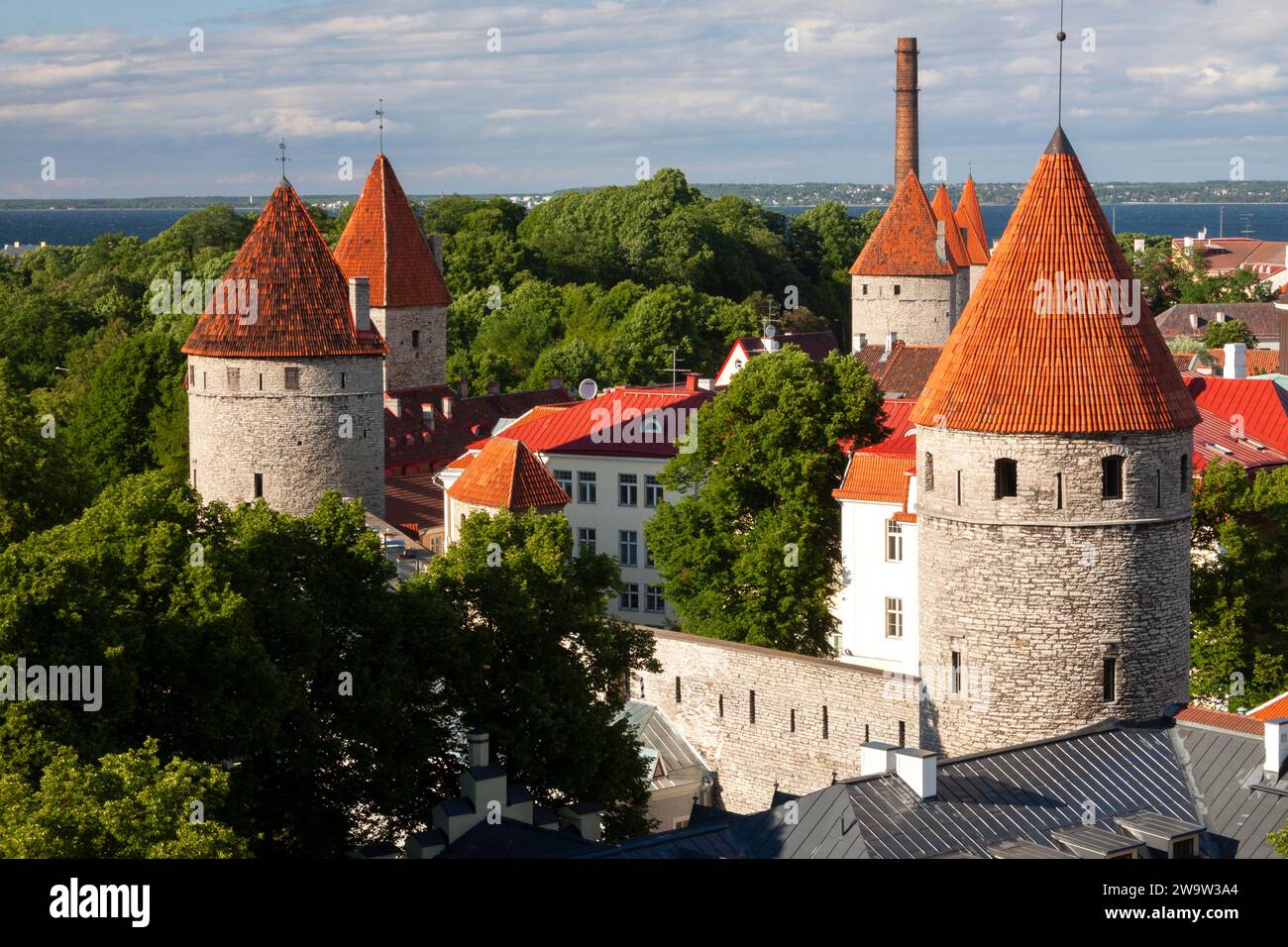 Vista della città vecchia medievale dalla collina di Toompea a Tallinn, in Estonia, nell'Europa orientale Foto Stock