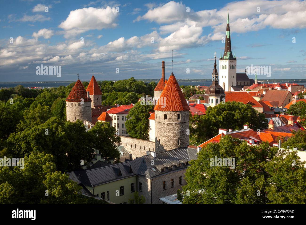 Vista della città vecchia medievale dalla collina di Toompea a Tallinn, in Estonia, nell'Europa orientale Foto Stock