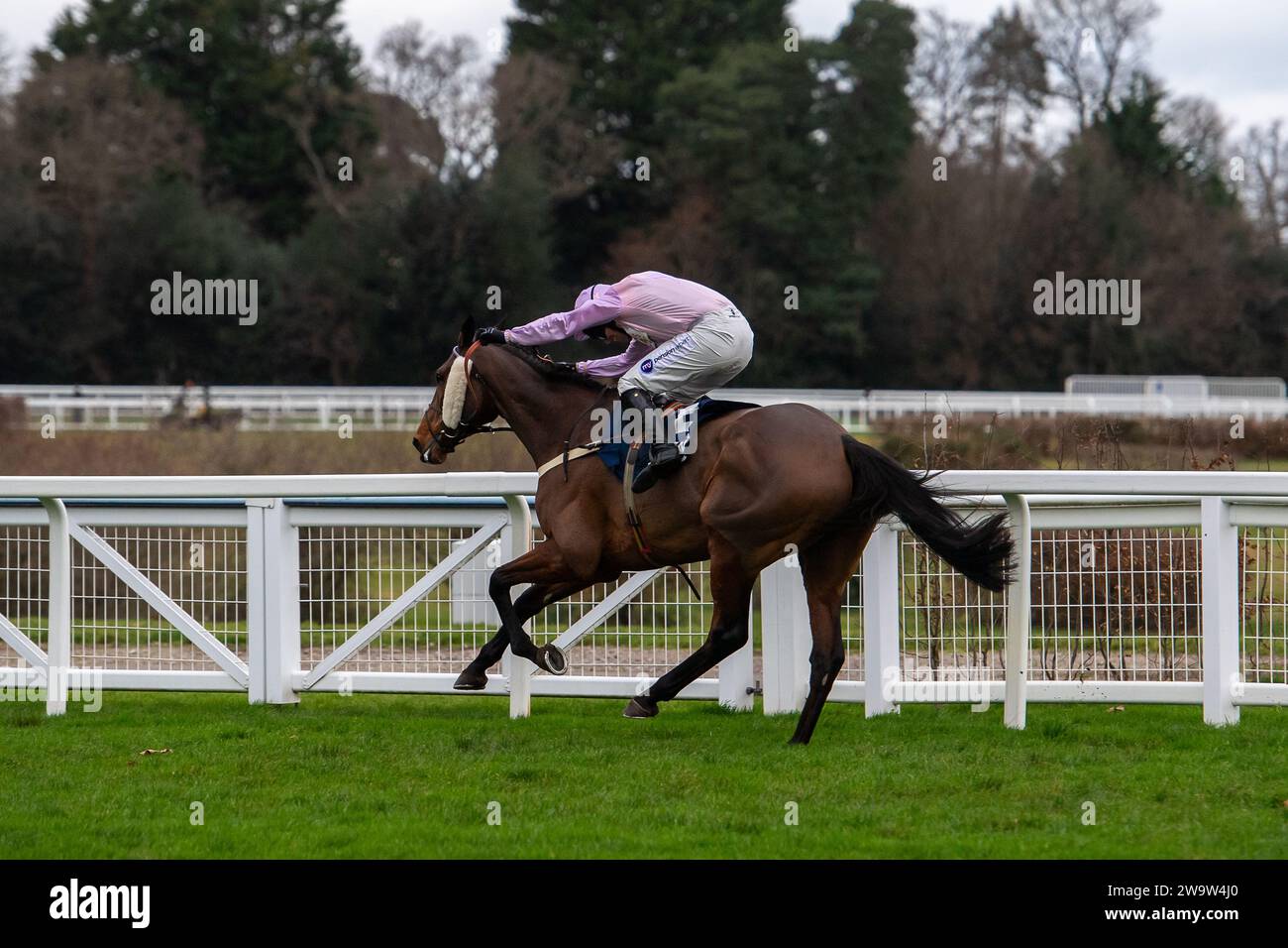 Ascot, Regno Unito. 23 dicembre 2023. Horse Harper's Brooke (IRE), guidata dal fantino Kielan Woods, conduce nel Howden handicap Steeple Chase all'ippodromo di Ascot durante l'Howden Christmas Racing Weekend Meeting. Proprietario dei Megson. Addestratore Ben Pauling, Naunton. Sponsor Fitzdares. Credito: Maureen McLean/Alamy Foto Stock