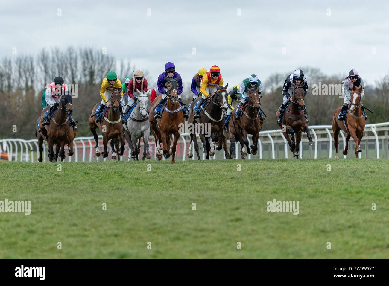 N.14 Aliomaana, vincitrice della 2a gara, guidata da Mitchell Bastyan e allenata da Milton Harris, corsa a Wincanton, il 10 marzo 2022 Foto Stock