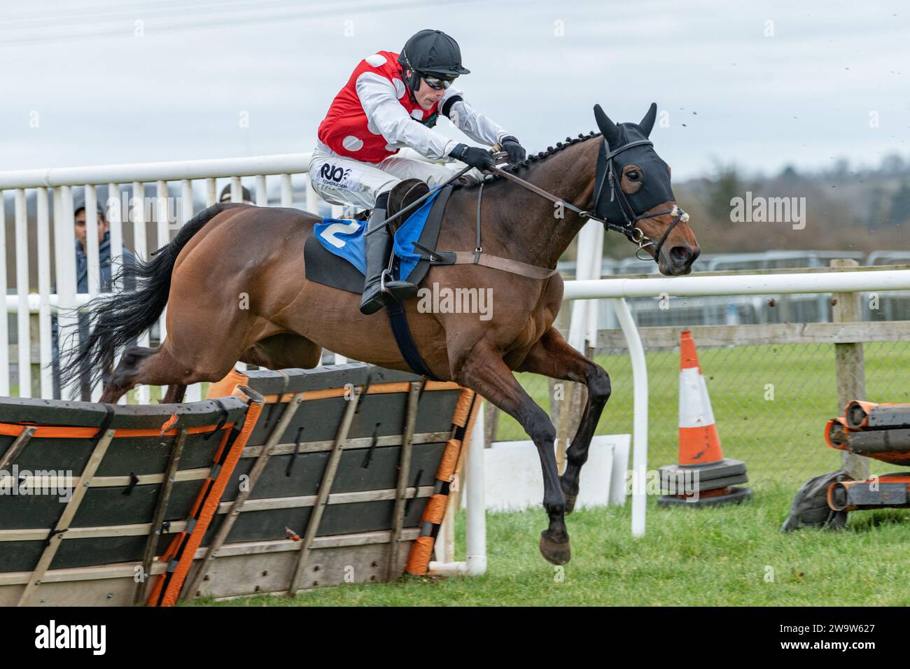 Briery Express, guidato da James Davies e allenato da Noel Williams, corse a Wincanton, il 10 marzo 2022 Foto Stock