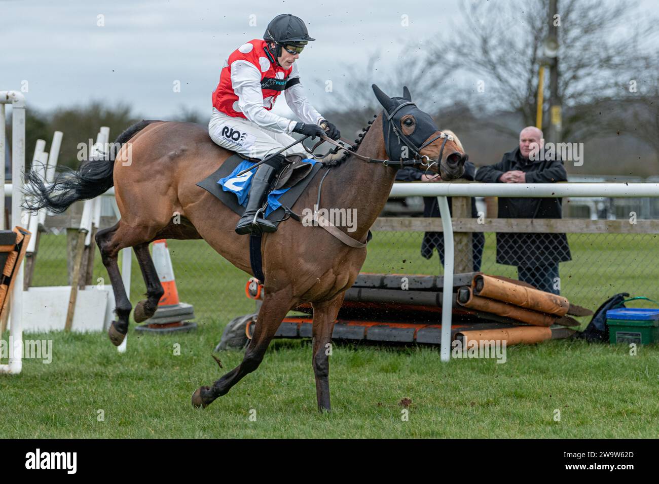 Briery Express, guidato da James Davies e allenato da Noel Williams, corse a Wincanton, il 10 marzo 2022 Foto Stock