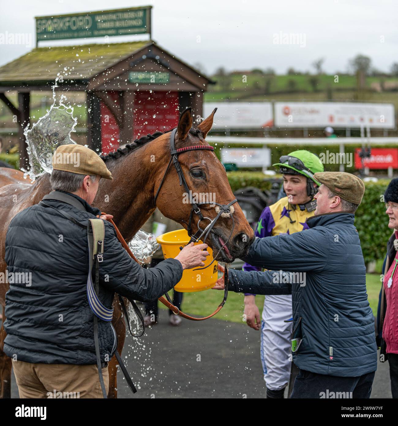 Just Toby, guidato da Charlie Todd e allenato da David Dennis, vince a Wincanton Over Fences, giovedì 10 marzo 2022 Foto Stock