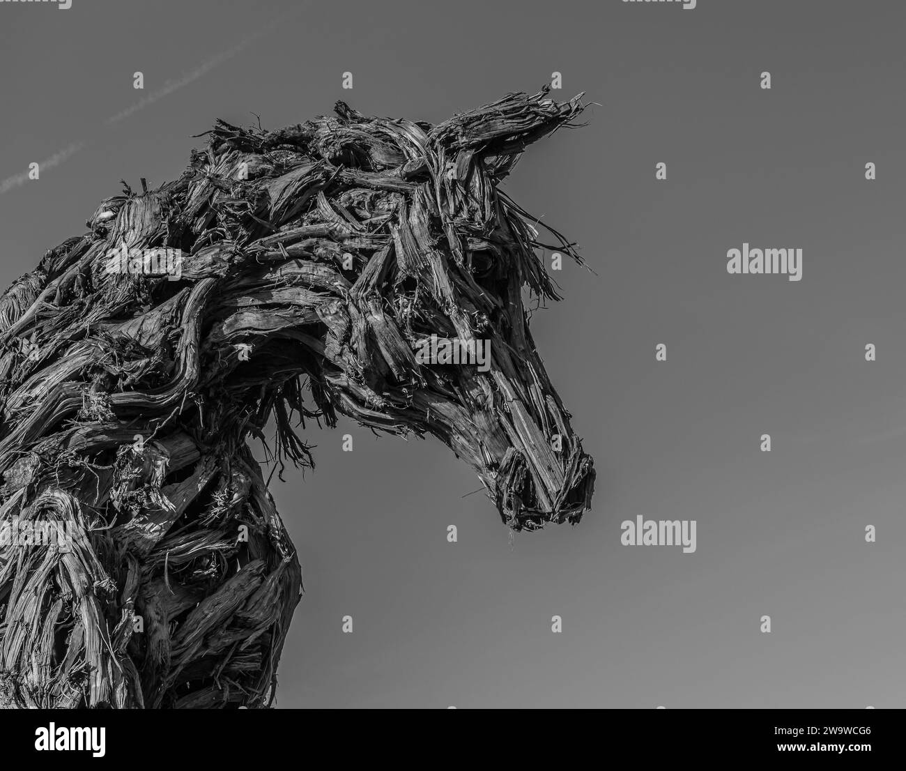 Il grande cavallo di legno dell'artista Marco Martalar a Strembo, paese della provincia di Trento, Trentino alto Adige, Italia settentrionale, Europa, Foto Stock