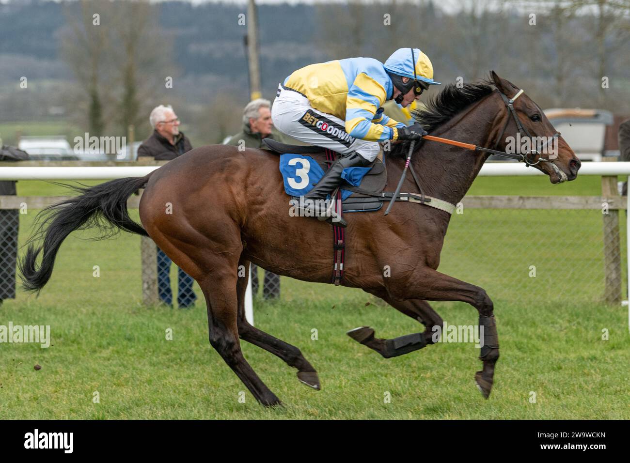 Betterforeveryone, guidato da Tom Cannon e allenato da Alan King, corre nell'ostacolo handicap a Wincanton, il 10 marzo 2022 Foto Stock