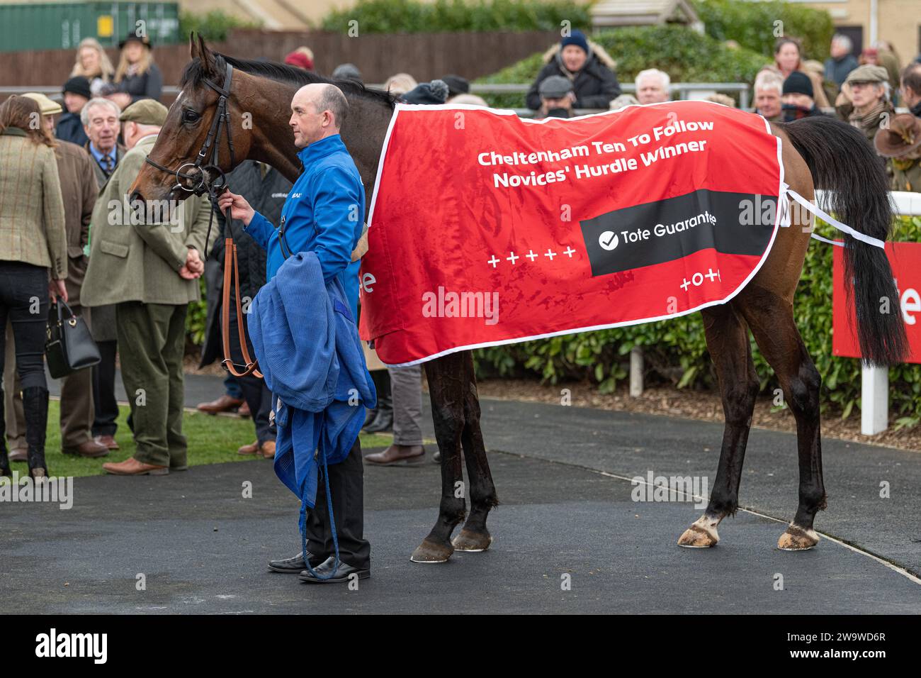 Could Talkaboutit, guidato da Brendan Powell e allenato da Colin Tizzard, vince l'handicap hurdle a Wincanton, il 10 marzo 2022 Foto Stock