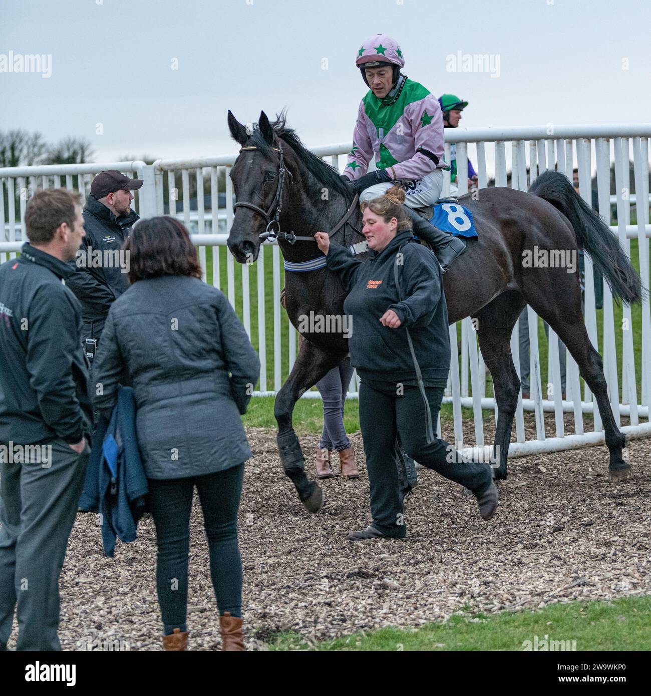 Regal 'n Bold, guidato da James Davies e allenato da Chris Down, corse a Wincnanton, il 10 marzo 2022 Foto Stock