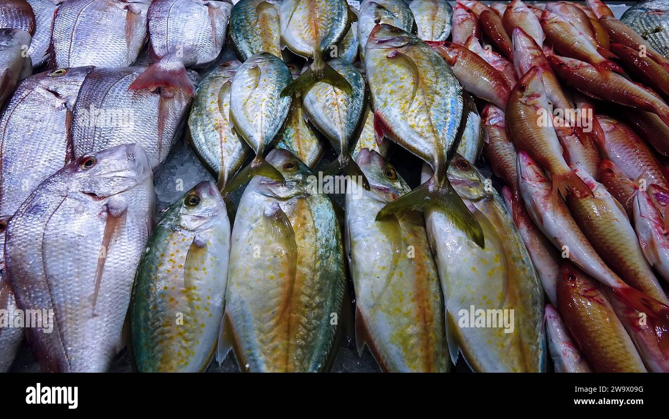 Vendita di pesce dal Golfo Persico al bazar di Abu Dhabi. Prevale l'orata marina (Sargus) Foto Stock
