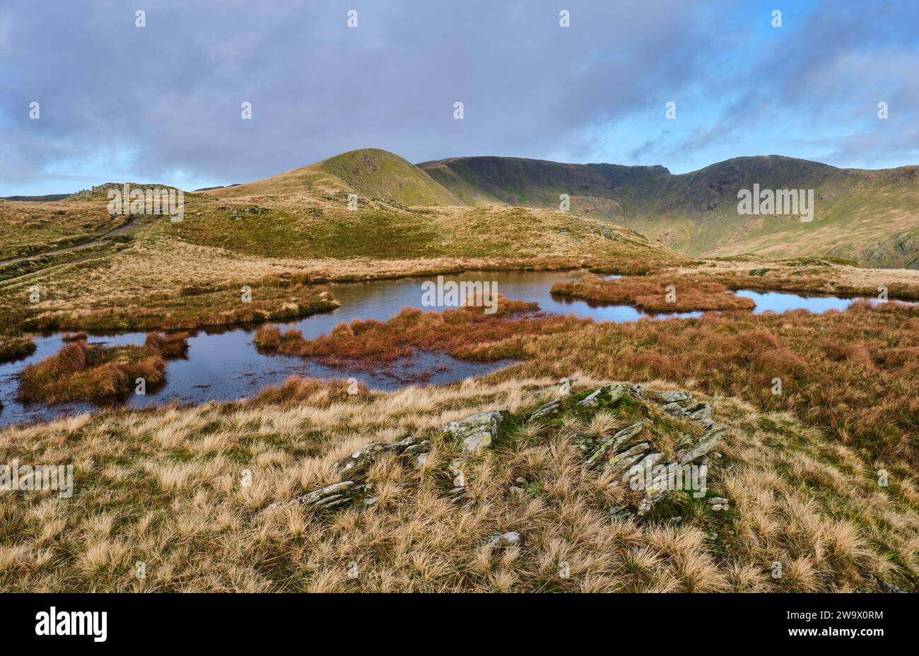 Great Rigg, Fairfield e dove Crag viste da Heron Pike, vicino ad Ambleside, Lake District, Cumbria Foto Stock