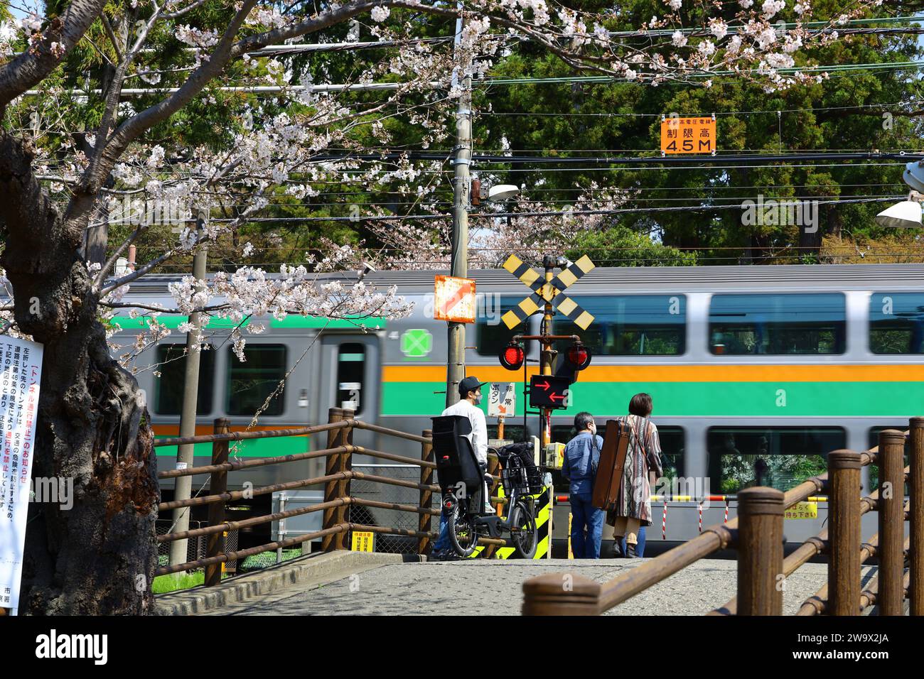 Vita quotidiana in Giappone: Vista di persone che aspettano un treno per passare in un attraversamento ferroviario a Kita-Kamakura in primavera, quando i ciliegi fioriscono Foto Stock