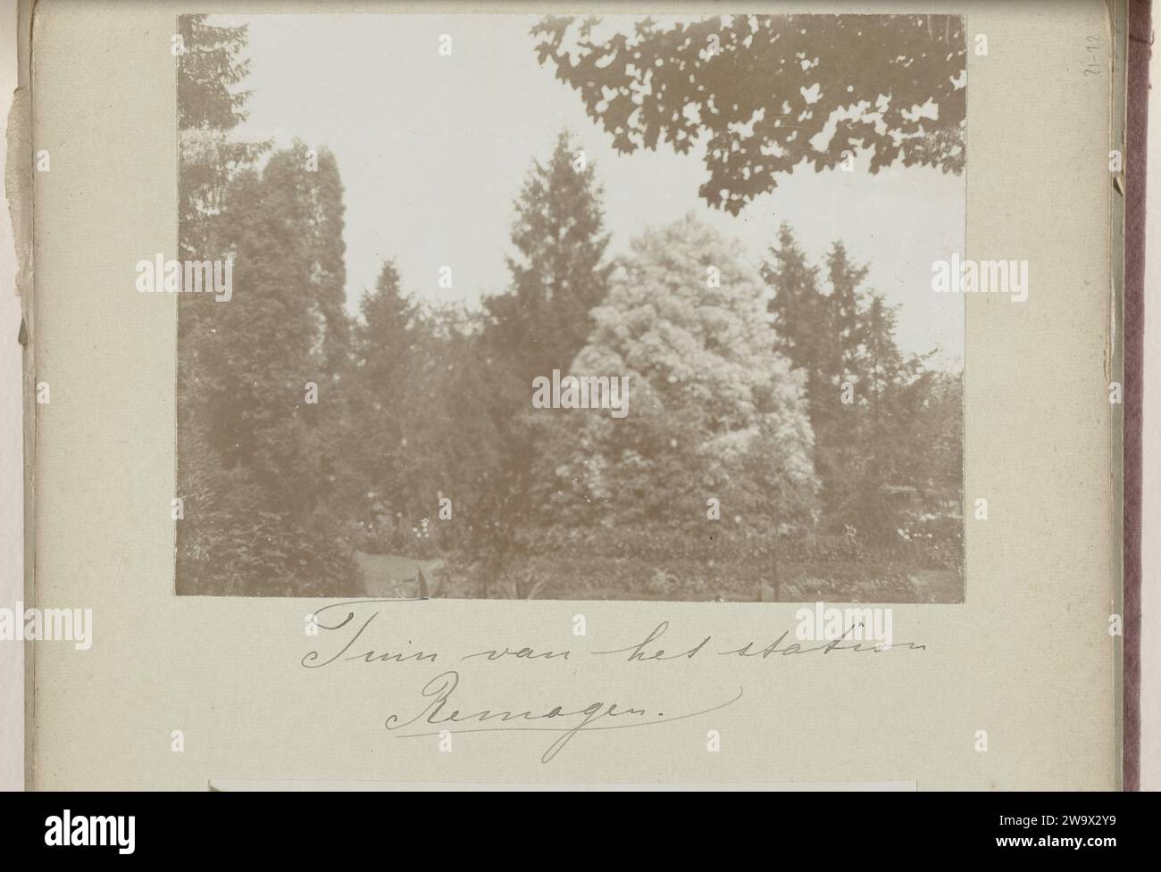 Giardino con alberi alla stazione di Remagen, c. 1895 - c. 1905 Fotografia questa foto fa parte di un album. Remagen baryta alberi di carta Remagen Foto Stock