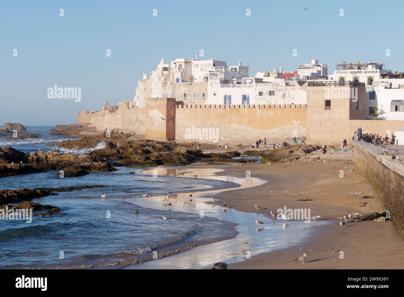 Gabbiani su una spiaggia rocciosa e sabbiosa con le mura della città e Medina alle spalle nella città di Essaouira, in Marocco. 30 dicembre 2023 Foto Stock