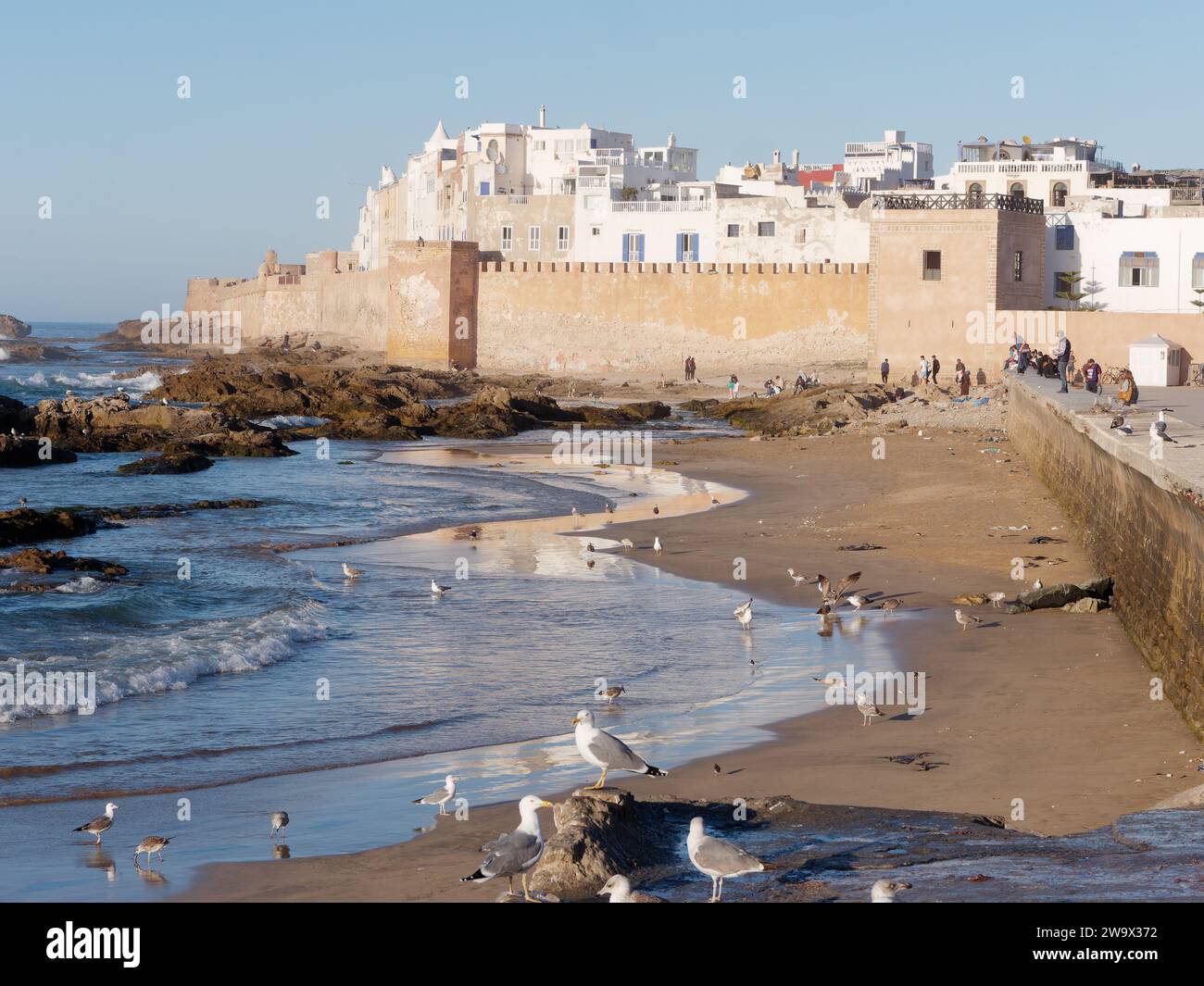 Gabbiani su una spiaggia rocciosa e sabbiosa con le mura della città e Medina alle spalle nella città di Essaouira, in Marocco. 30 dicembre 2023 Foto Stock