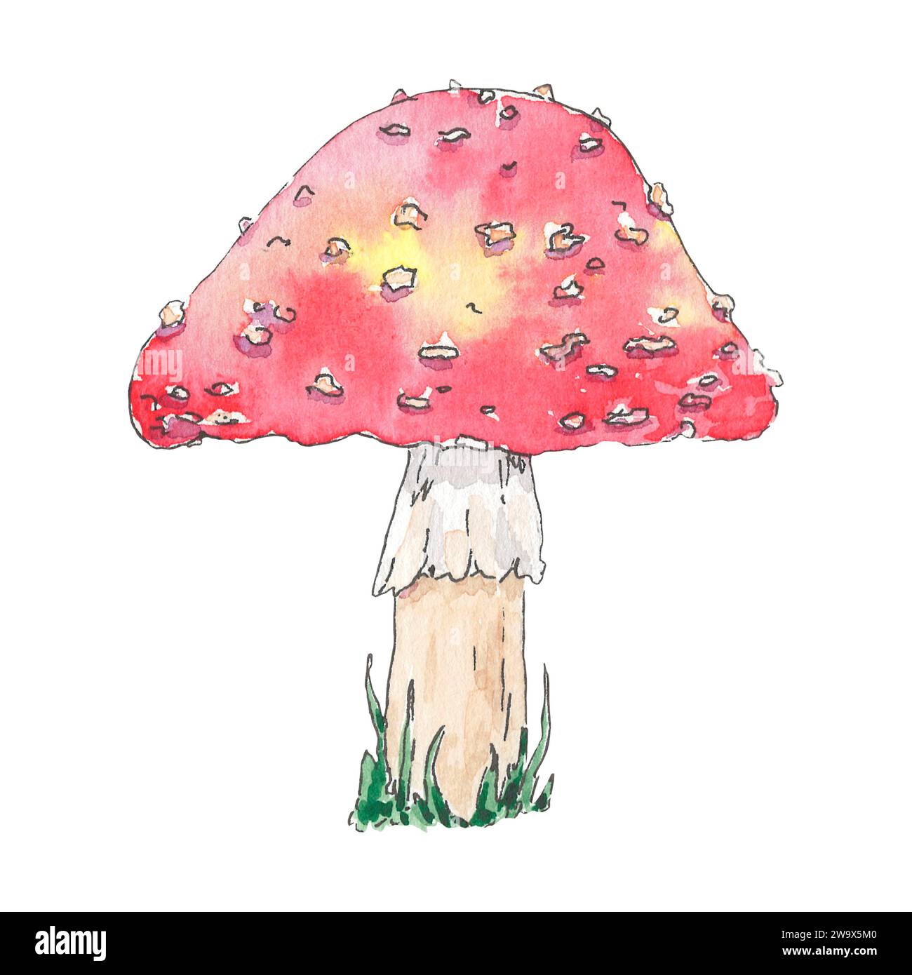 Acquerelli mashroom volano un'illustrazione agarica disegnata a mano in stile botanico. Grafica naturalistica per logo di design, cartolina, cartolina, poster, sfondo, tessile Foto Stock