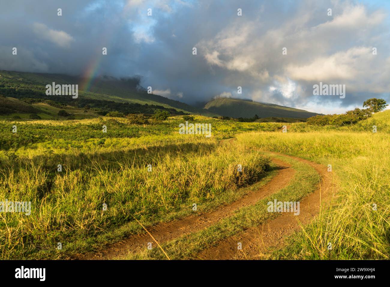 Una strada di campagna si snoda attraverso i lussureggianti campi lungo la Piilani Highway a Maui, che conduce verso un pendio vulcanico sotto un cielo abbellito da un arcobaleno Foto Stock