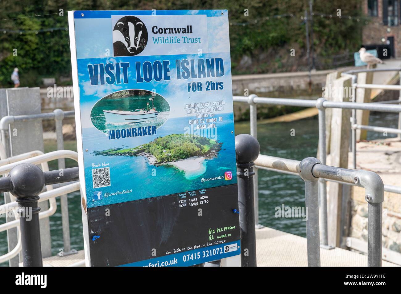 Looe Cornwall e tour in barca a Looe Island promossi per vedere la natura e la fauna selvatica, Inghilterra, Regno Unito, 2023 Foto Stock