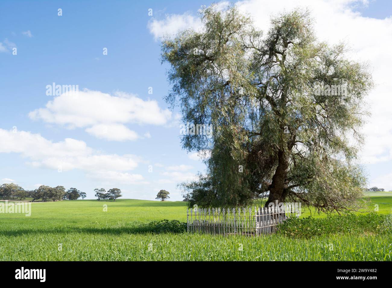 Allendale, Australia meridionale, Australia - 30 settembre 2017: La tomba di Scotty nel mezzo di un campo segna il luogo di sepoltura di James Burnett (il suo vero n Foto Stock
