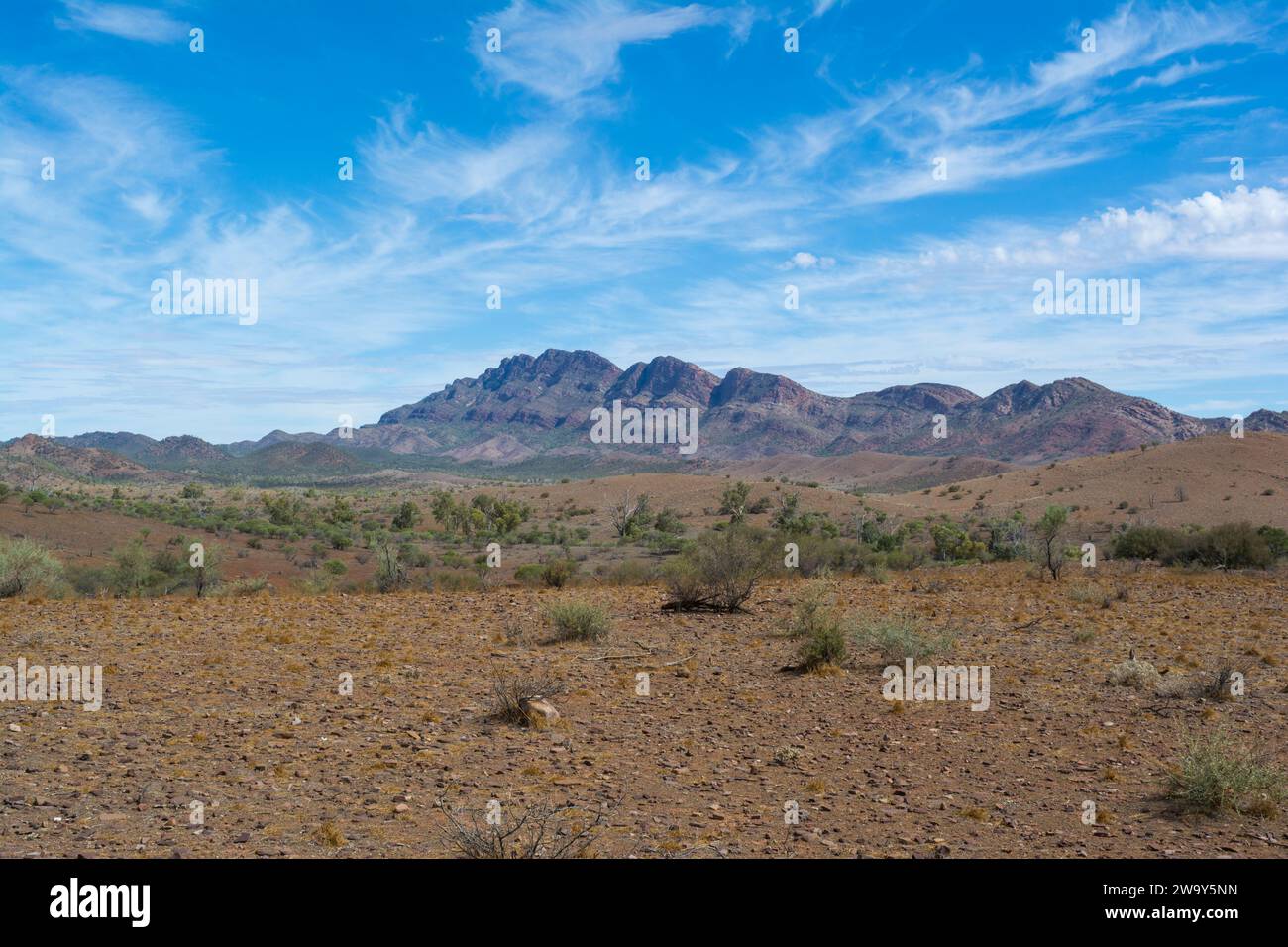 Catene montuose viste sulla Moralana Scenic Drive Road all'interno delle Ikara-Flinders Ranges, Australia meridionale, che costeggia il Parco Nazionale Foto Stock