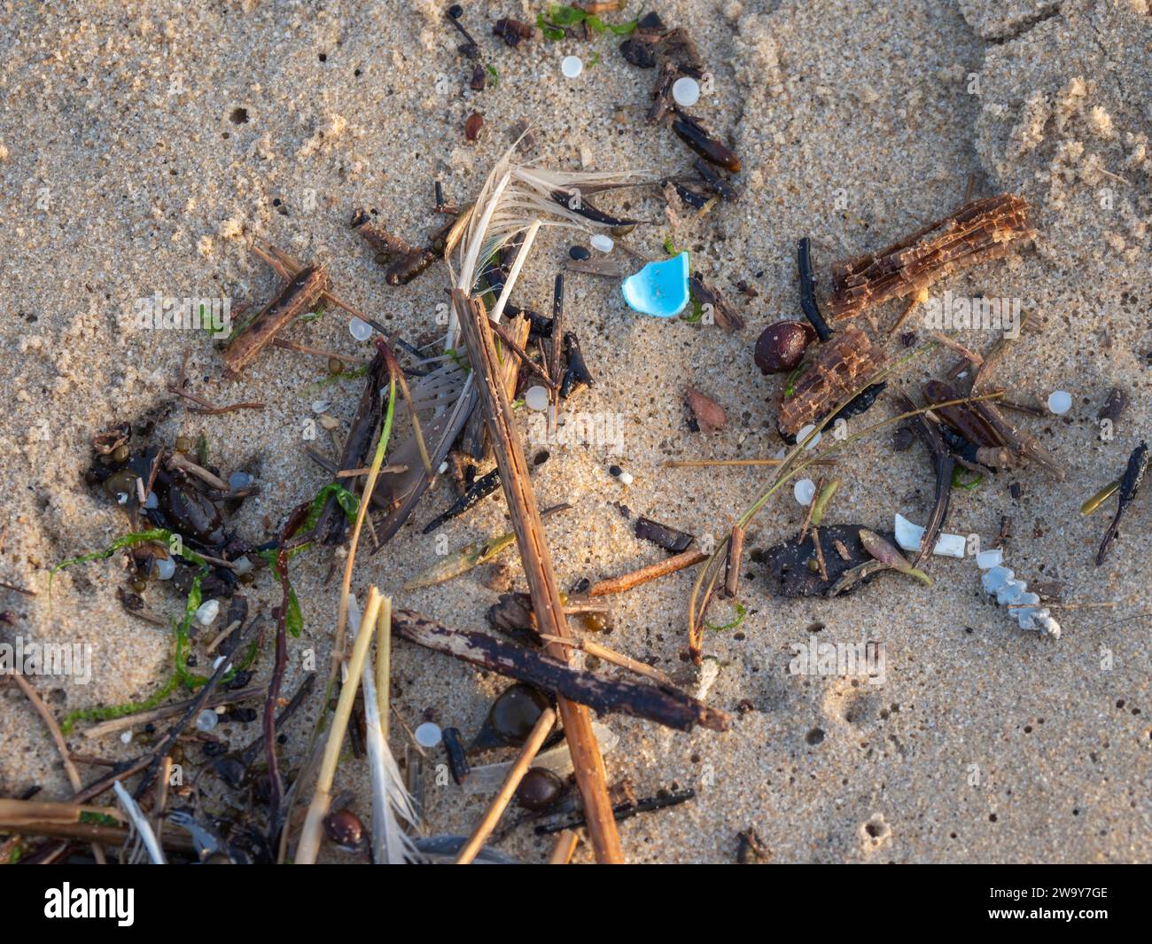 Piccoli detriti di plastica in microplastica lavati su una spiaggia sabbiosa Foto Stock