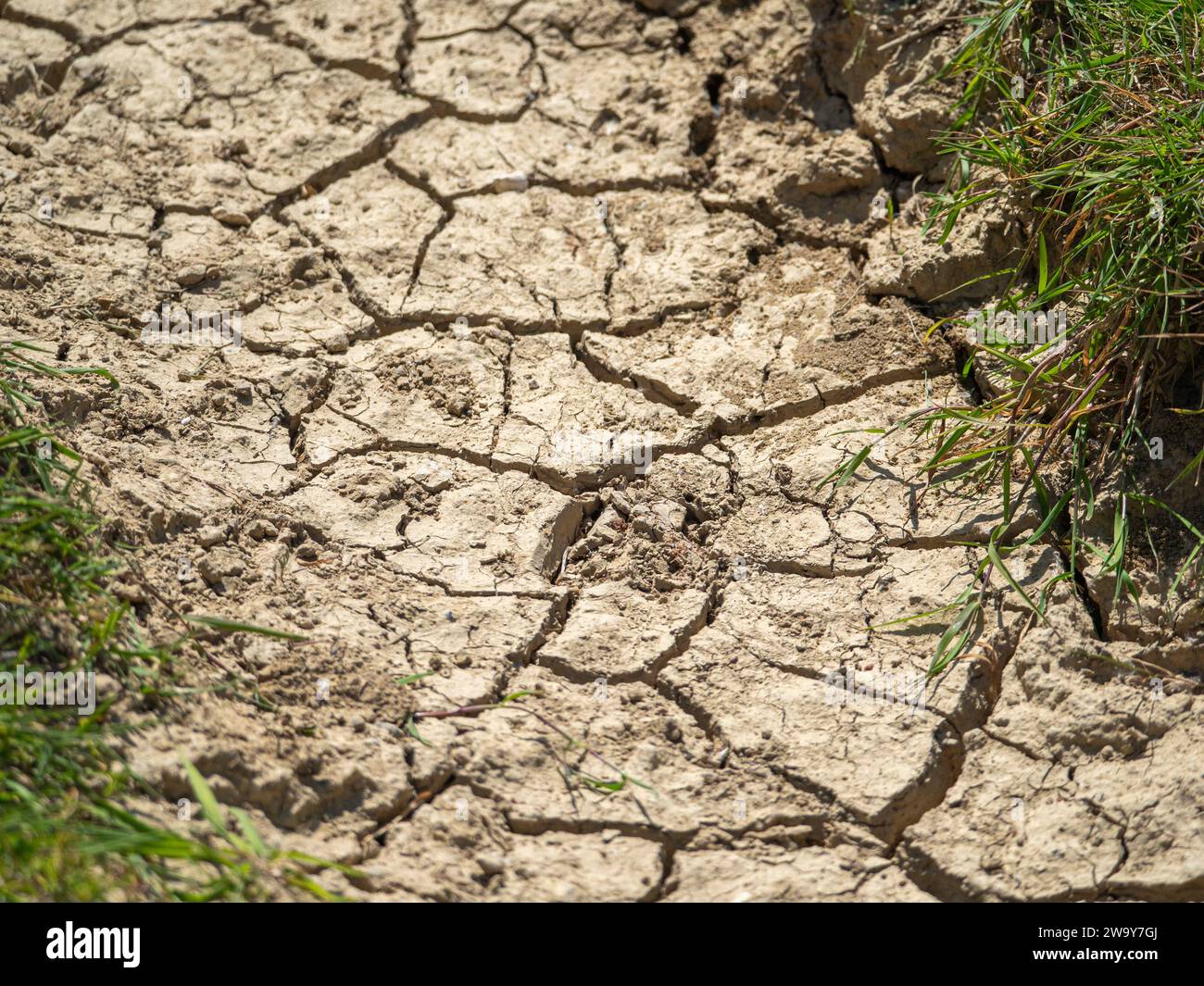 Terreno asciutto incrinato in siccità Foto Stock