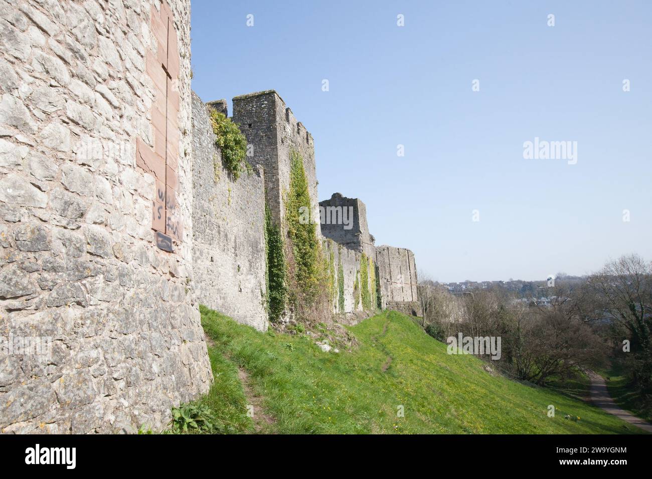 Vista sul castello di Chepstow, a Monmouthshire, Galles, Regno Unito Foto Stock