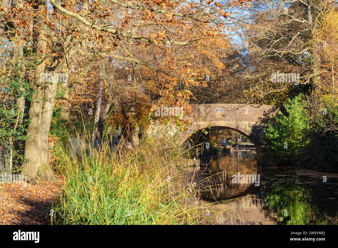 Mytchett Place ponte sul canale Basingstoke in autunno. Mytchett, Surrey, Inghilterra, Regno Unito, Gran Bretagna Foto Stock