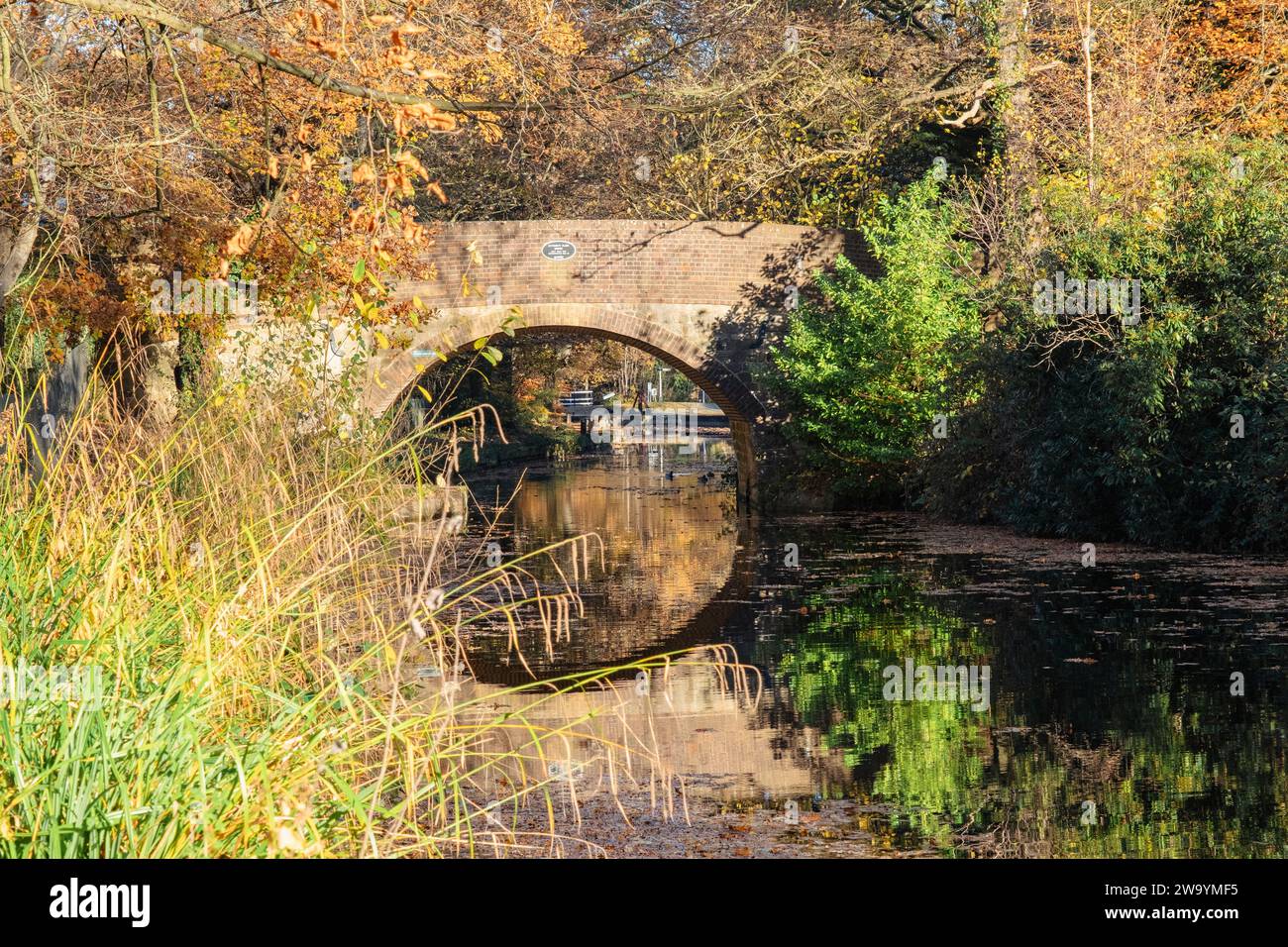 Mytchett Place ponte sul canale Basingstoke in autunno. Mytchett, Surrey, Inghilterra, Regno Unito, Gran Bretagna Foto Stock