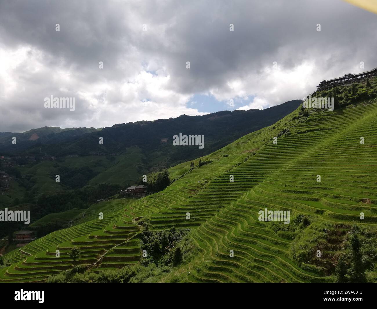 Terrazze di riso Longsheng, dette anche terrazze di riso Longji, viste dalla gondola Foto Stock