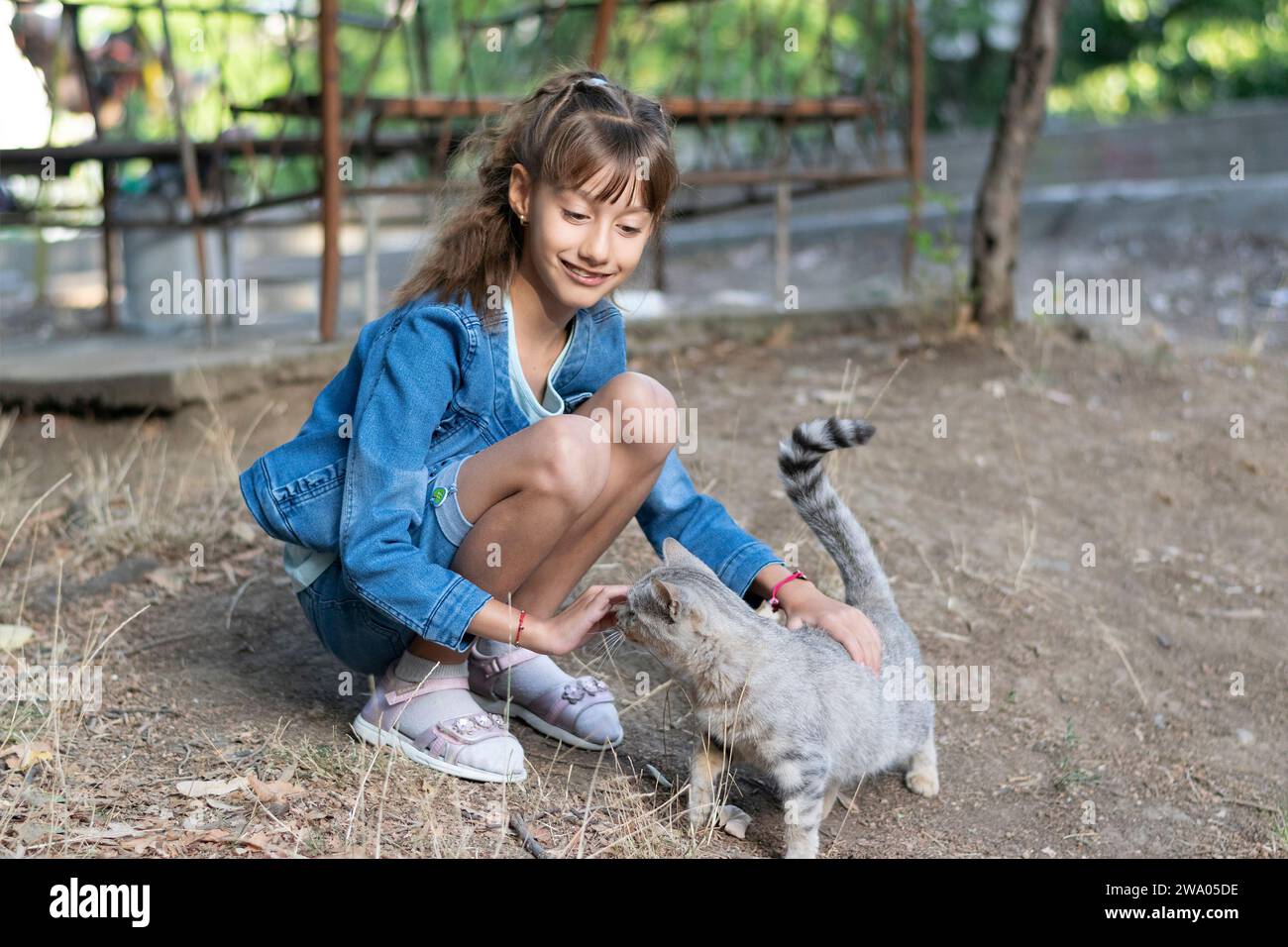 Giovane bambina che si diverte con il gatto al tramonto Foto Stock