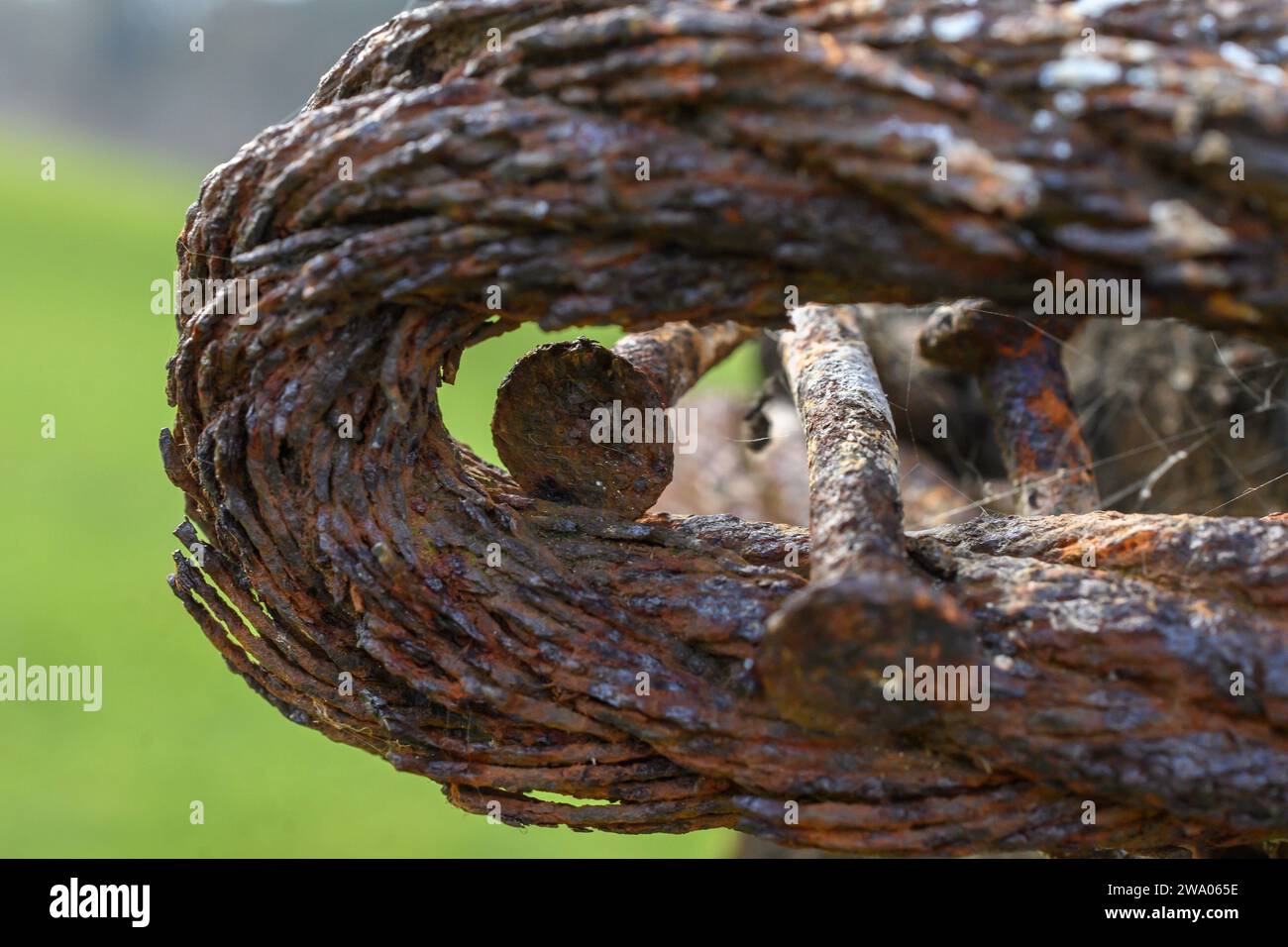 primo piano della testa di due chiodi in acciaio molto arrugginiti attorno a un vecchio cavo in acciaio sfilacciato, grasso e arrugginito. Foto Stock