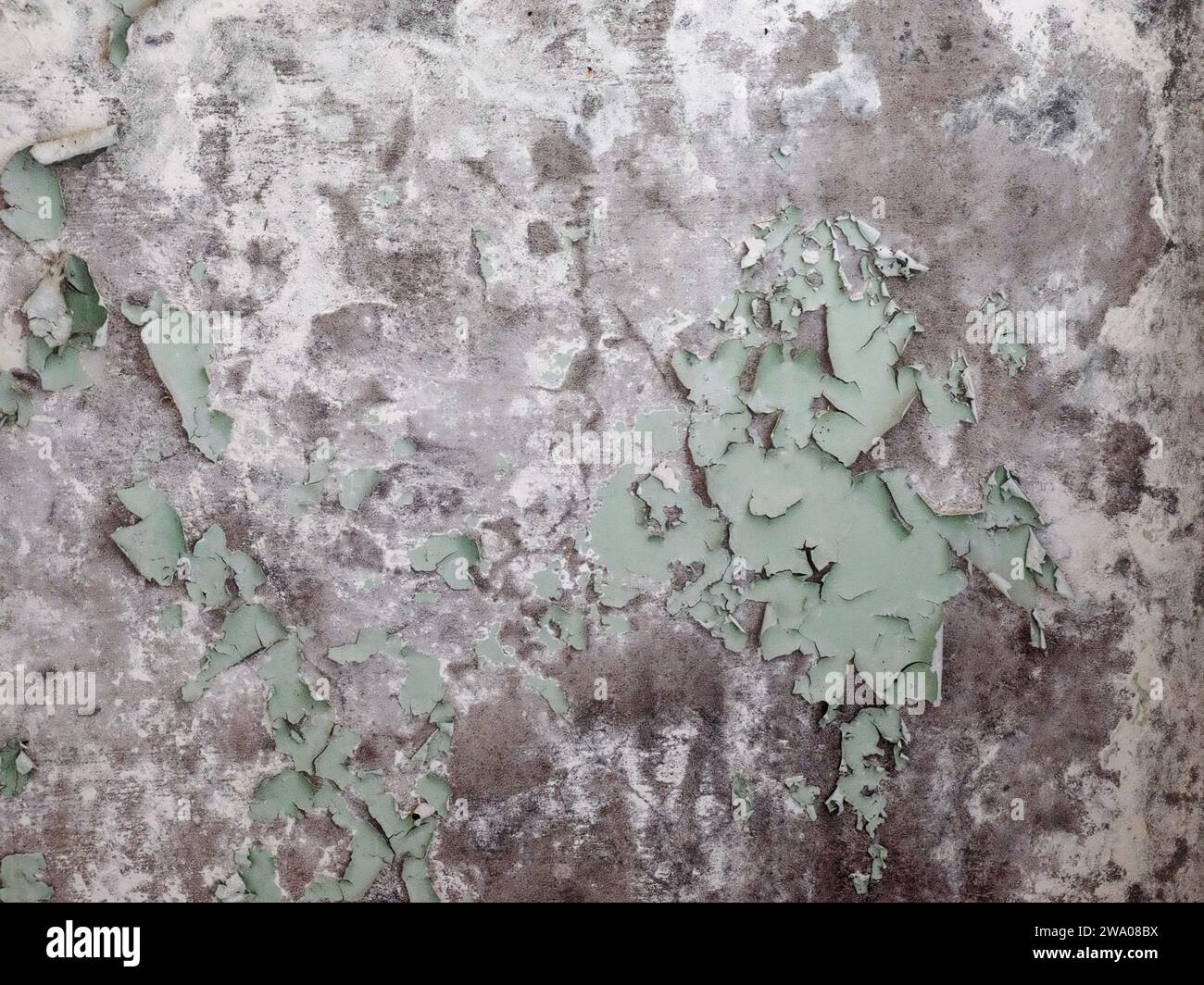 La vernice verde sfalda una parete di cemento colorata grigia. Foto Stock