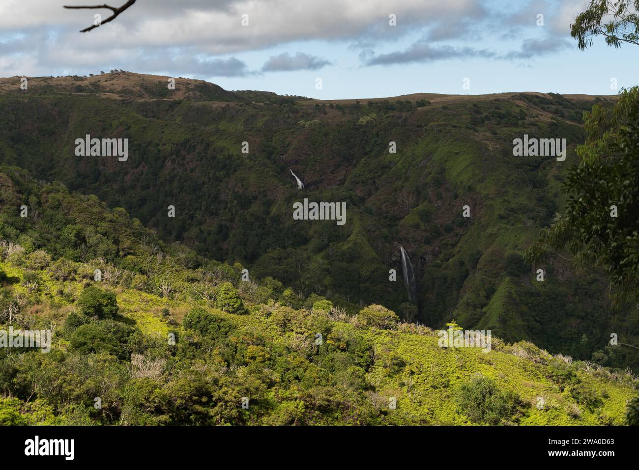 Il sentiero Waihe'e Ridge svela le cascate tra i lussureggianti paesaggi di Maui. Foto Stock