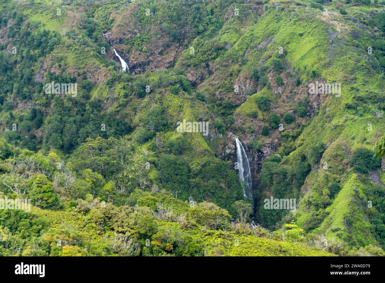 Le cascate adornano il Waihe'e Ridge Trail sulle colline verdeggianti di Maui. Foto Stock